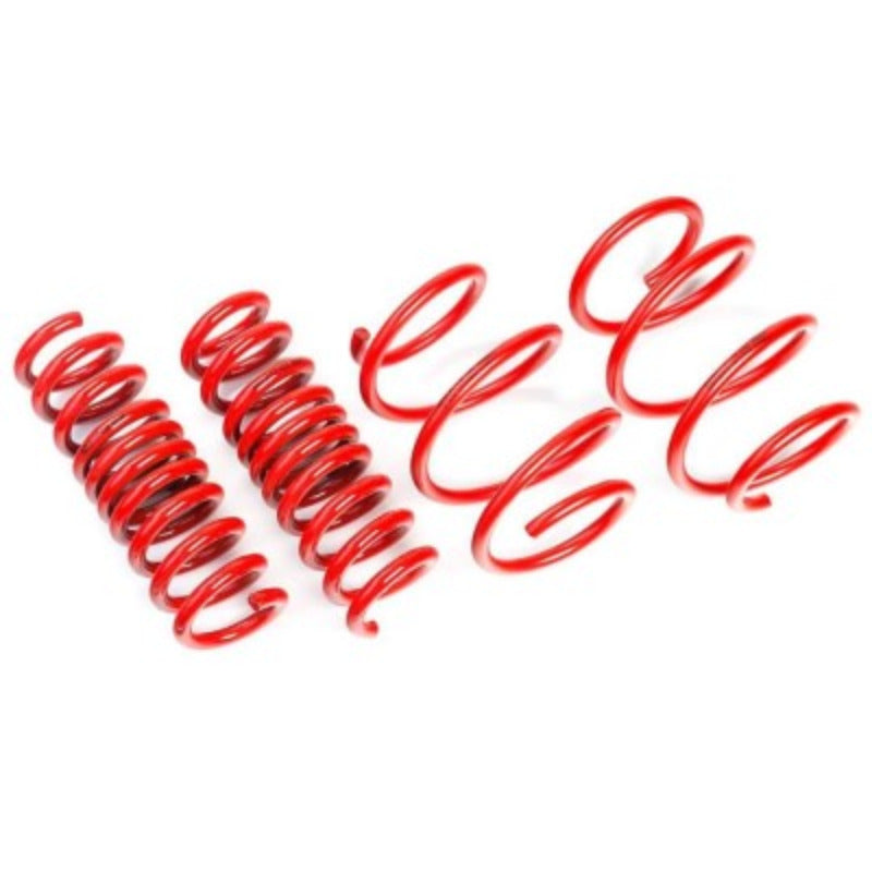 tesla-3-performance-lowering-springs